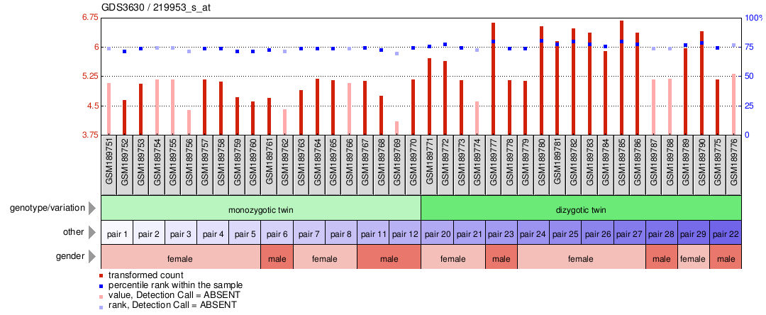 Gene Expression Profile