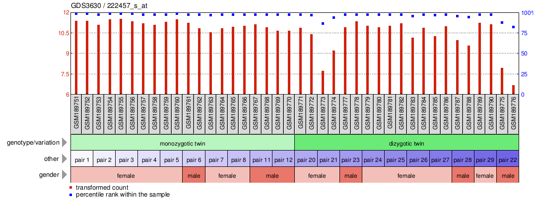 Gene Expression Profile