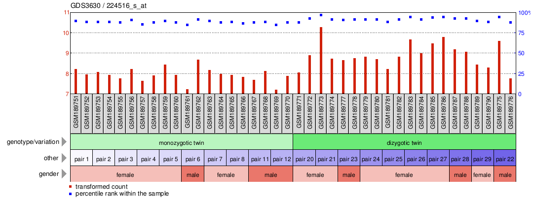 Gene Expression Profile