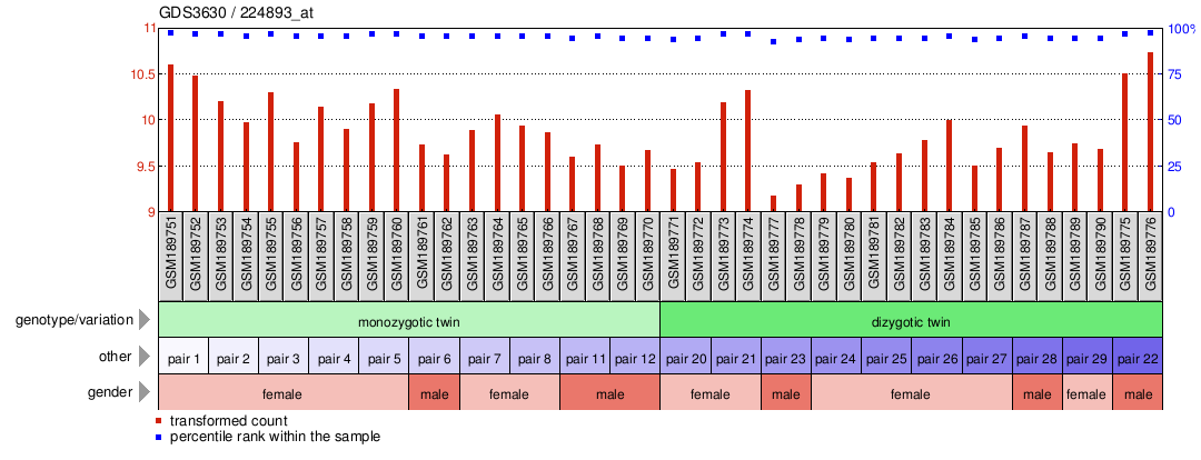 Gene Expression Profile