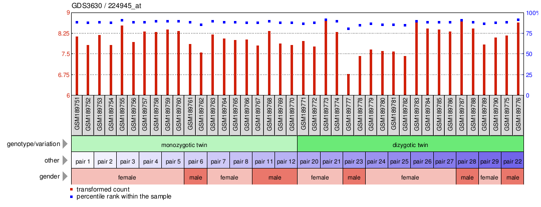 Gene Expression Profile