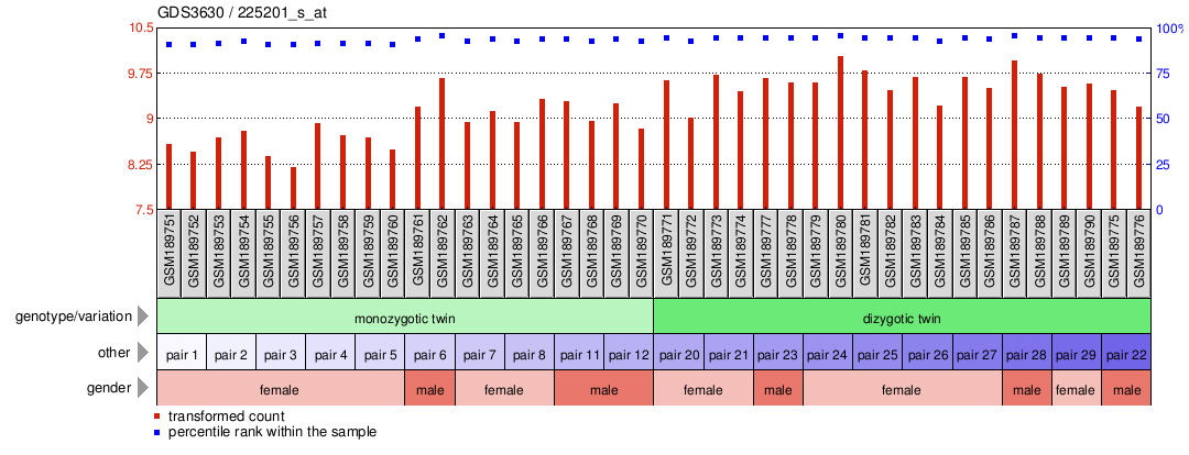 Gene Expression Profile