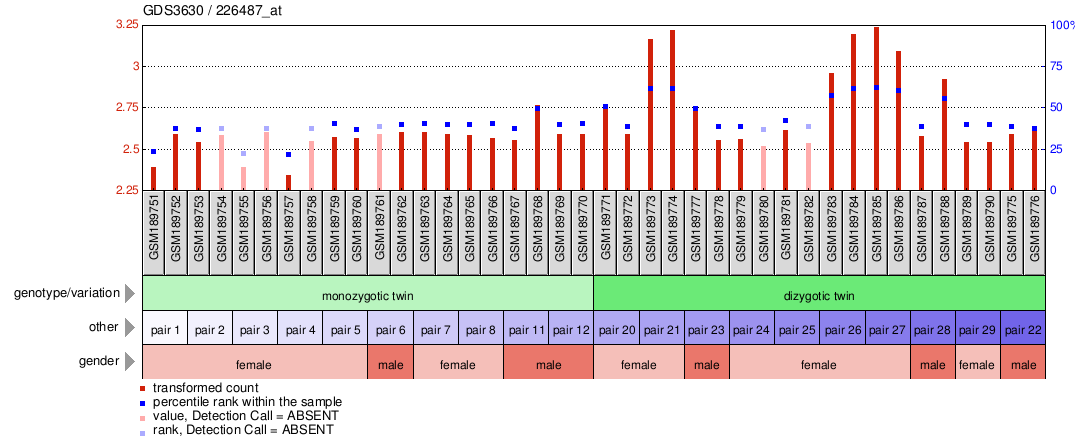 Gene Expression Profile