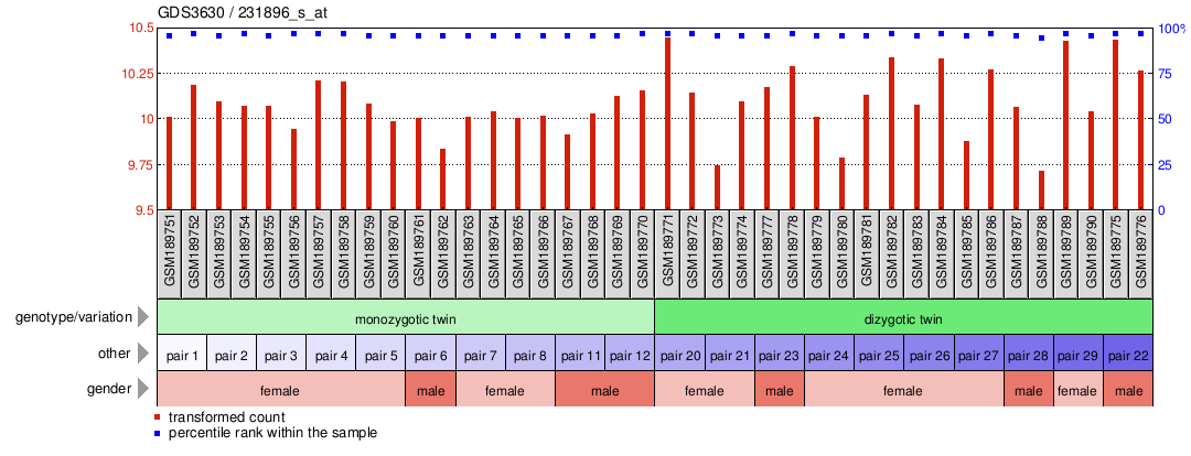 Gene Expression Profile