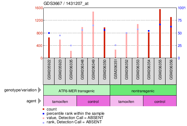 Gene Expression Profile