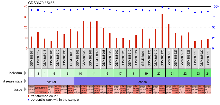 Gene Expression Profile