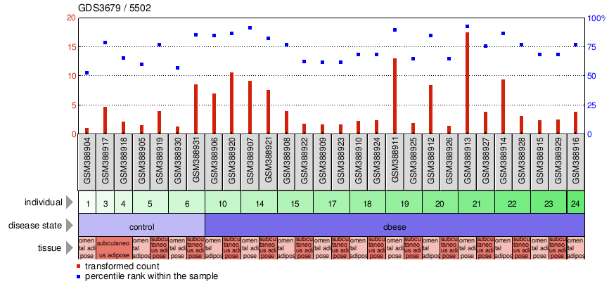 Gene Expression Profile