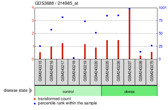 Gene Expression Profile