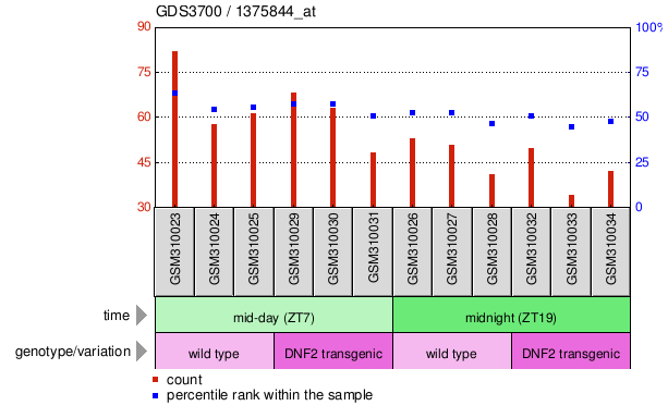 Gene Expression Profile