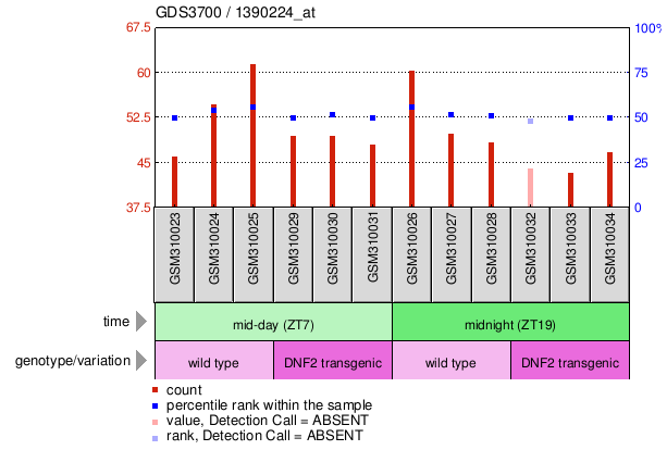 Gene Expression Profile