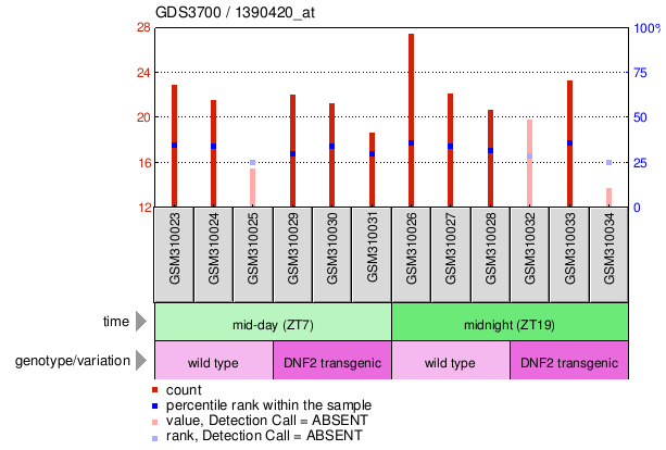 Gene Expression Profile