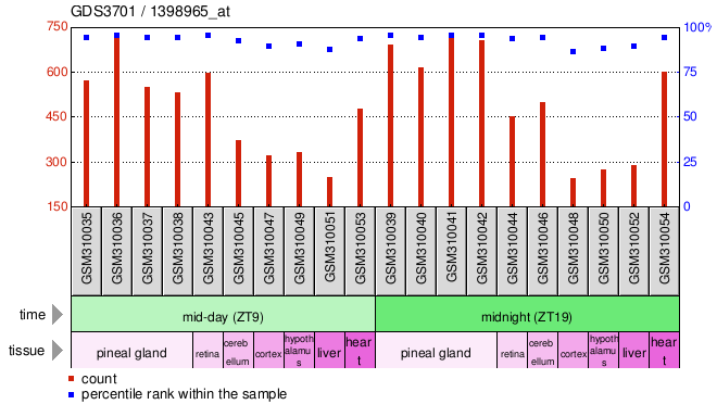 Gene Expression Profile