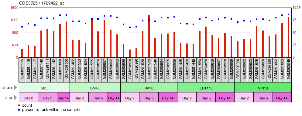 Gene Expression Profile