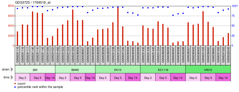 Gene Expression Profile