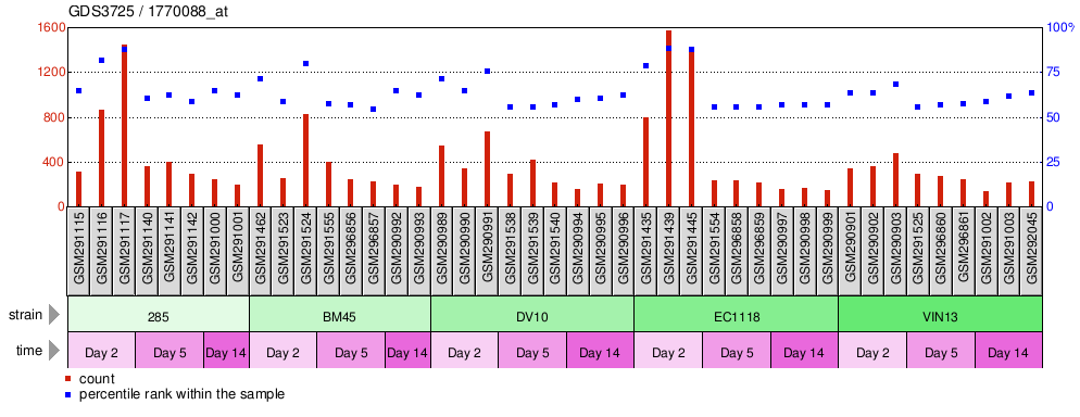 Gene Expression Profile