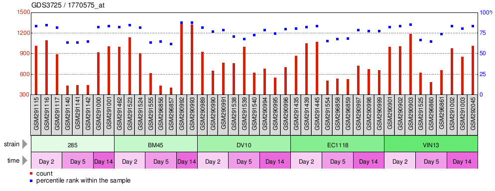 Gene Expression Profile