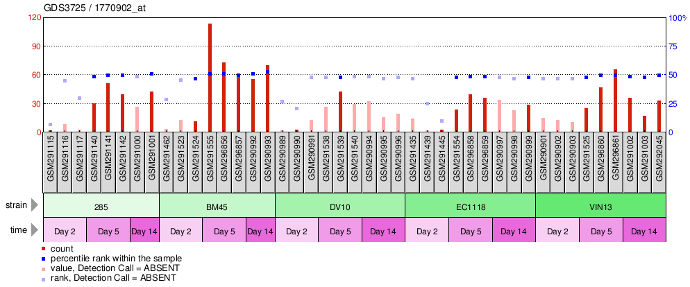 Gene Expression Profile