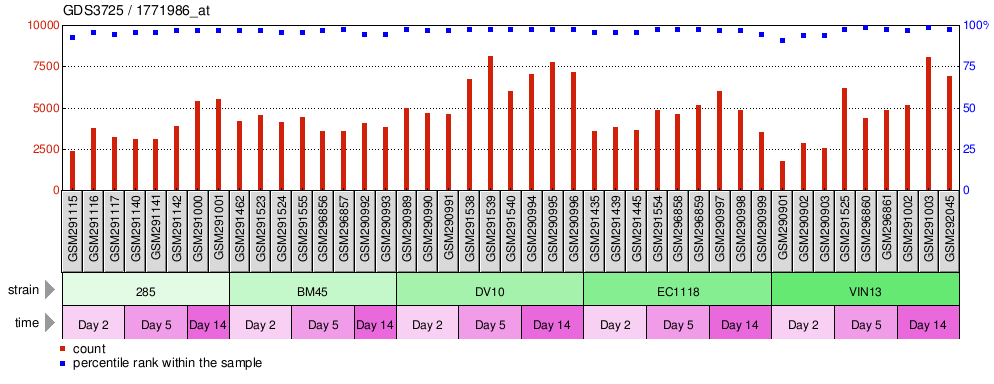 Gene Expression Profile