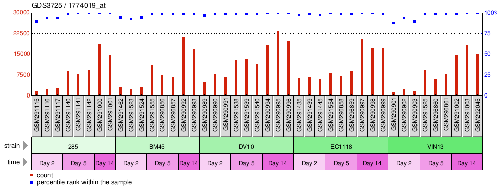 Gene Expression Profile