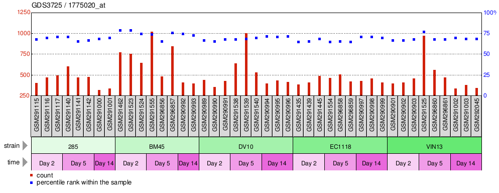 Gene Expression Profile