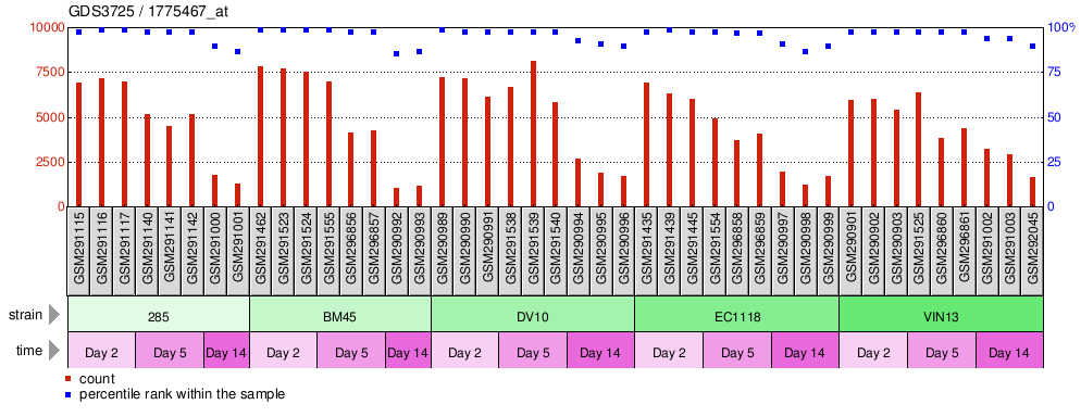 Gene Expression Profile