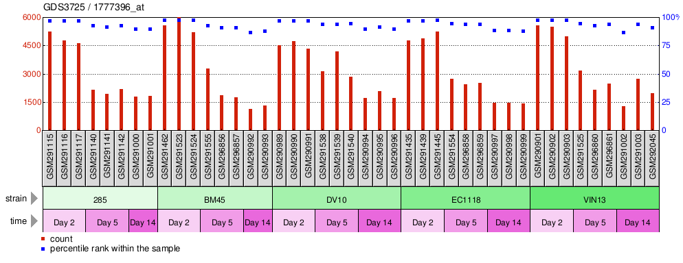 Gene Expression Profile