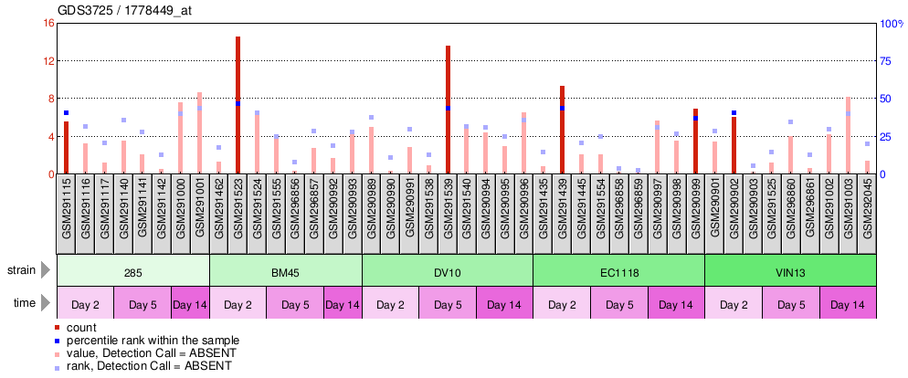 Gene Expression Profile