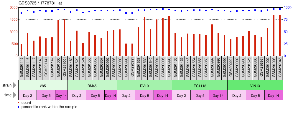 Gene Expression Profile