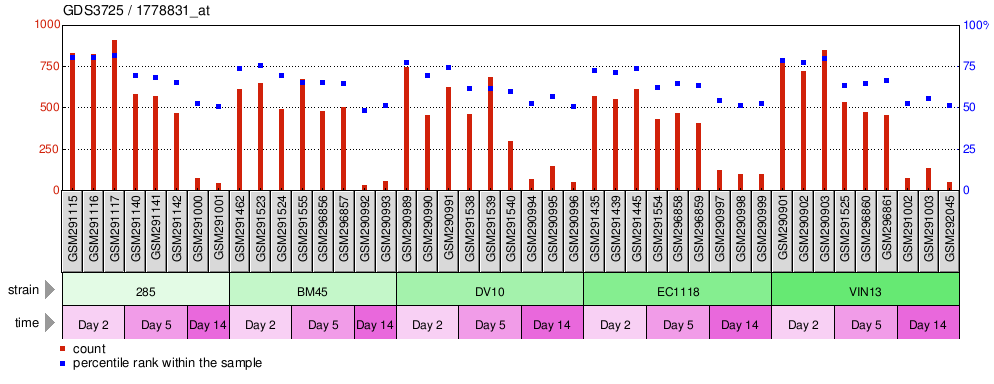 Gene Expression Profile