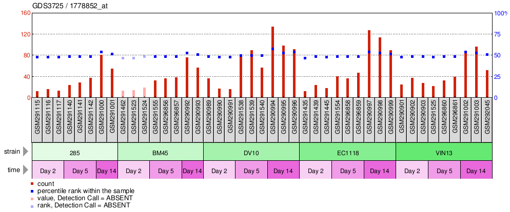 Gene Expression Profile