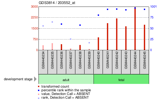 Gene Expression Profile