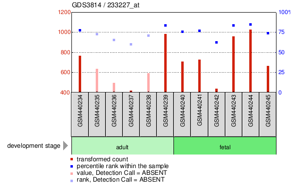 Gene Expression Profile