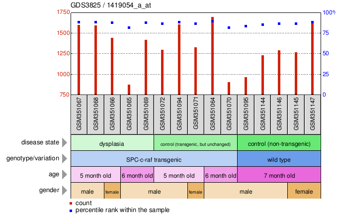 Gene Expression Profile