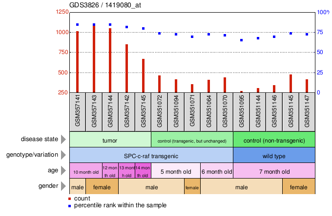 Gene Expression Profile