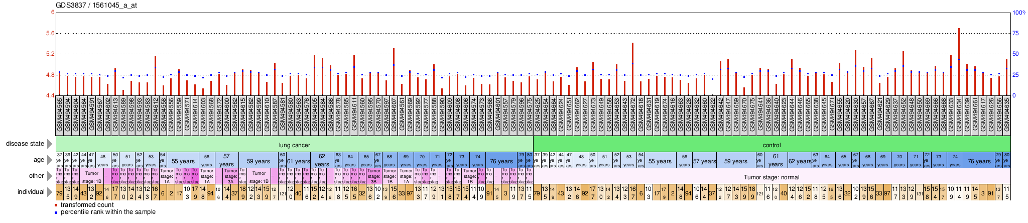 Gene Expression Profile