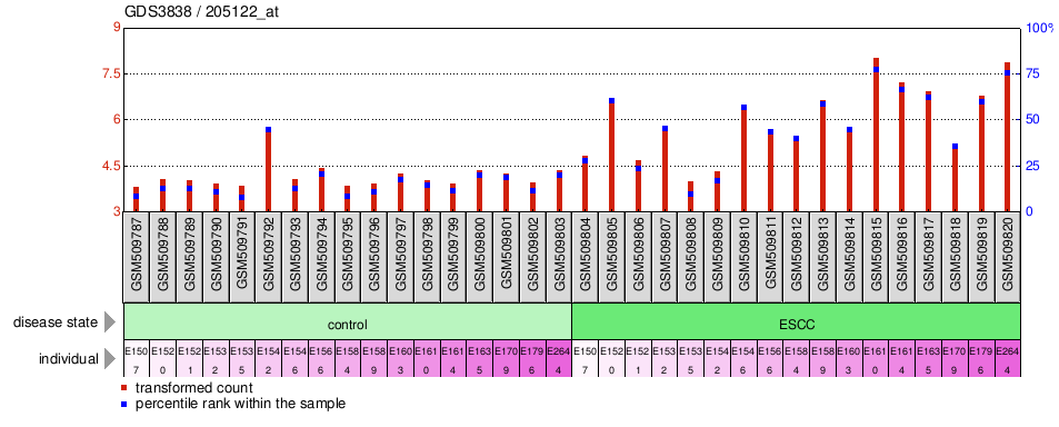 Gene Expression Profile