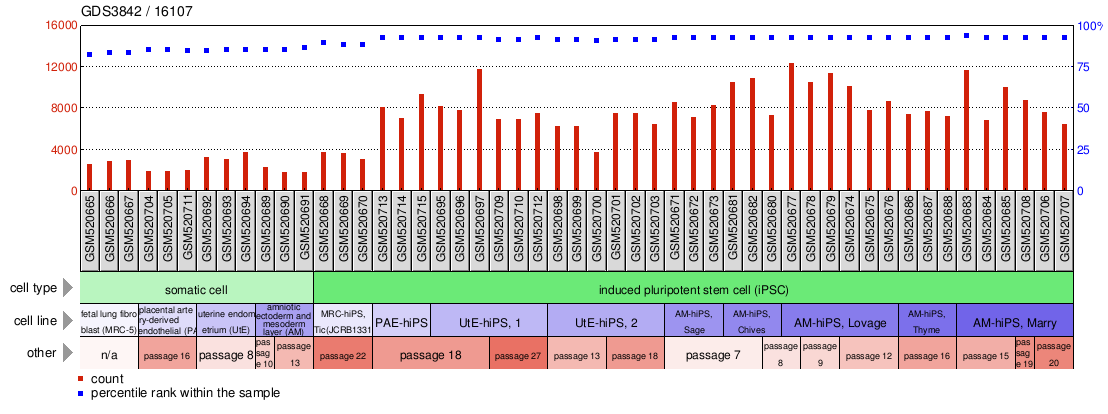 Gene Expression Profile