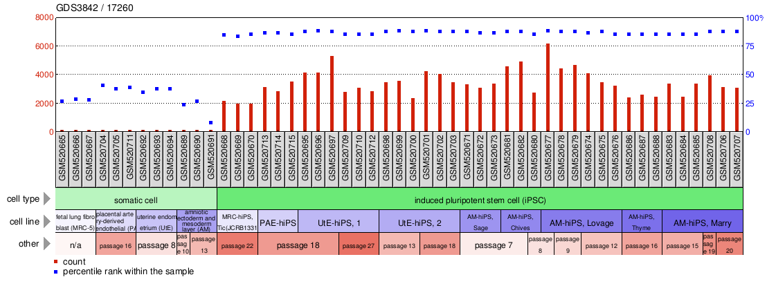 Gene Expression Profile