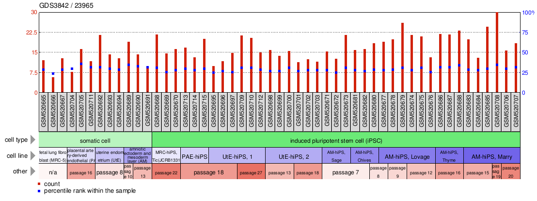 Gene Expression Profile