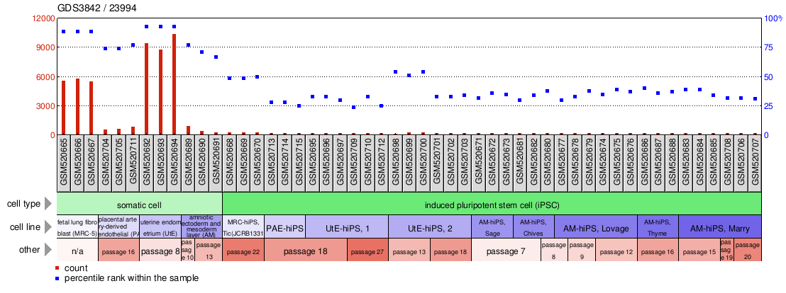 Gene Expression Profile