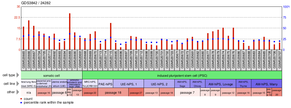 Gene Expression Profile