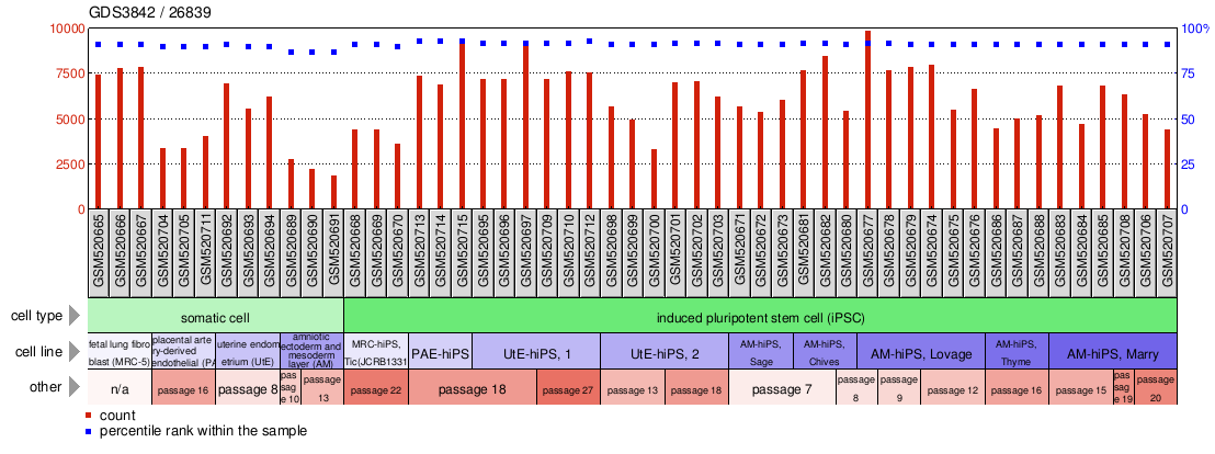 Gene Expression Profile