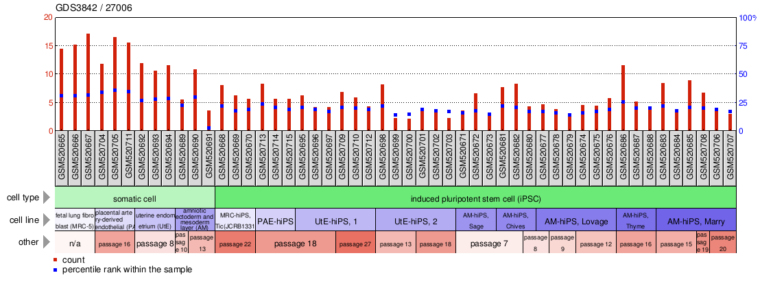 Gene Expression Profile