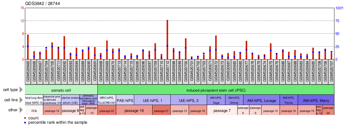 Gene Expression Profile