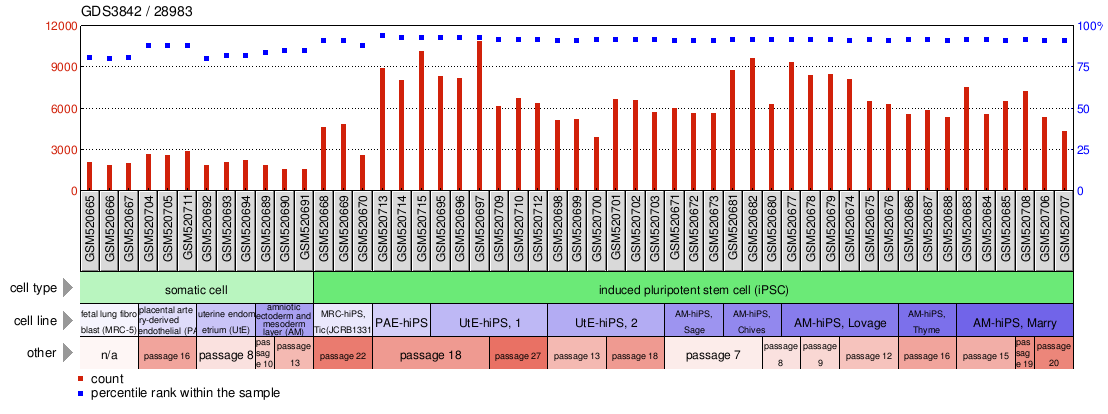 Gene Expression Profile