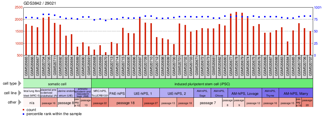 Gene Expression Profile