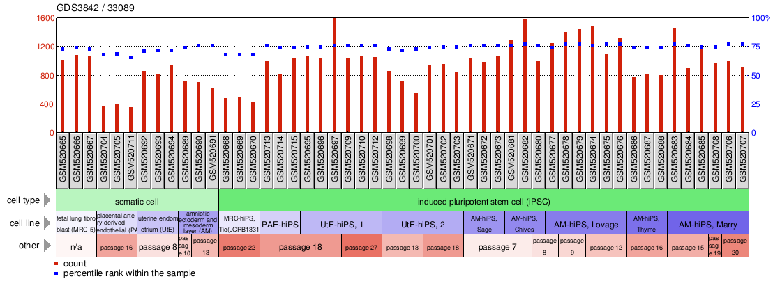 Gene Expression Profile