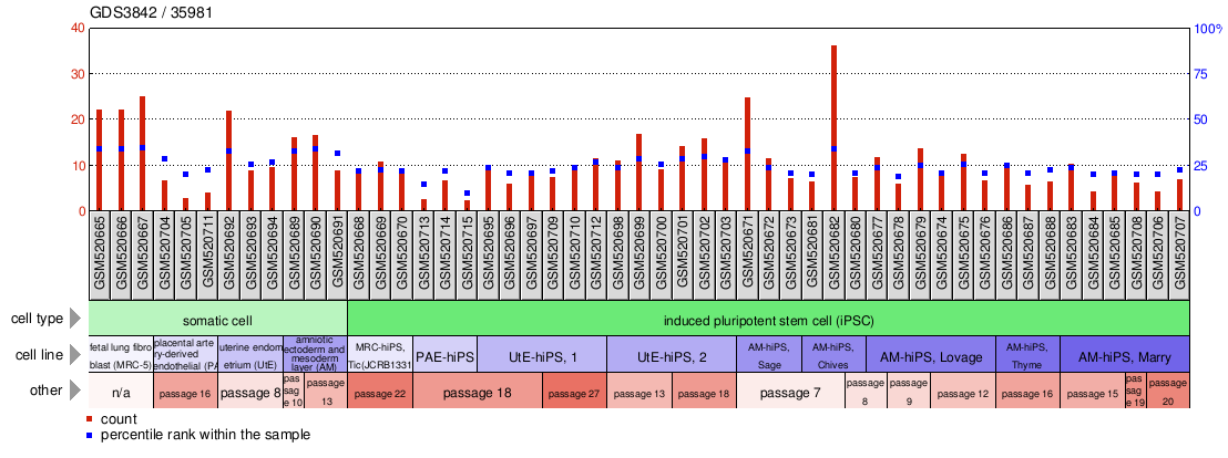 Gene Expression Profile