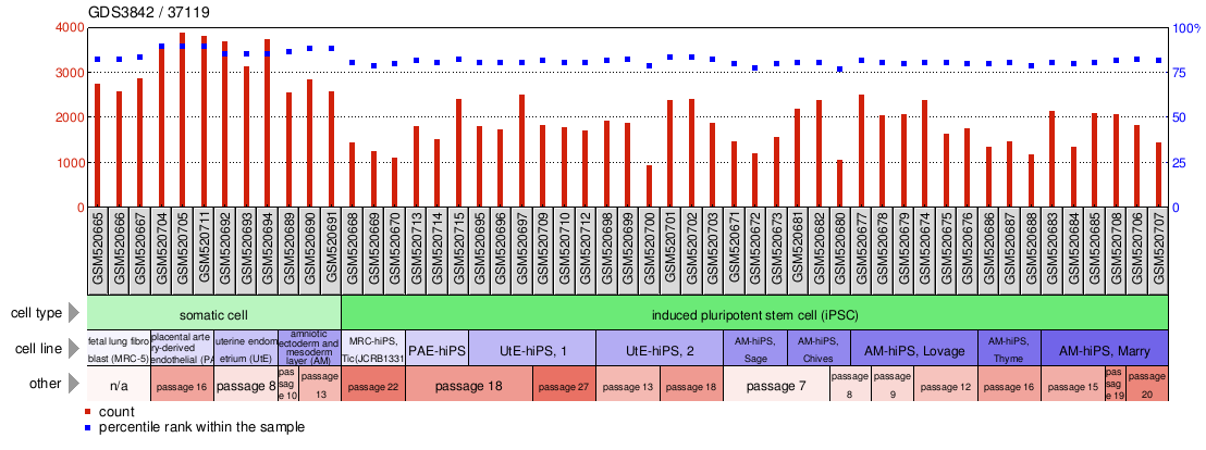 Gene Expression Profile