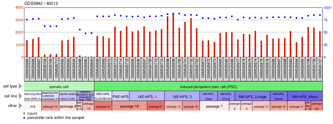 Gene Expression Profile